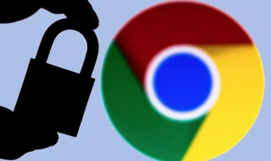 Chrome Şifrelerini Adım Adım Görüntüleme Rehberi